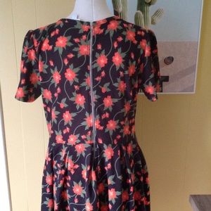 Floral Navy and pink Lularoe Amelia 2xl